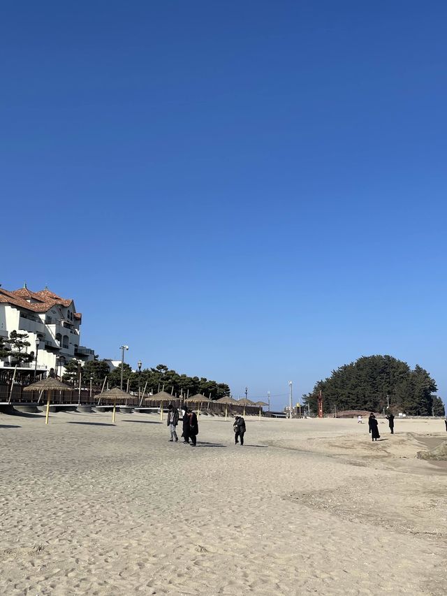 프라이빗 비치가 있는 양양쏠비치✨