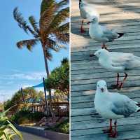 Yeppoon Beach, Queensland, Australia