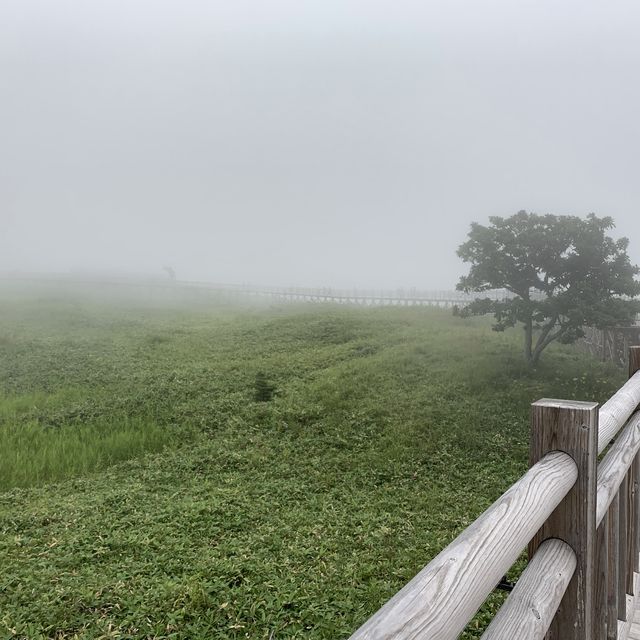 北海道　知床五湖