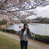 김해 연지공원