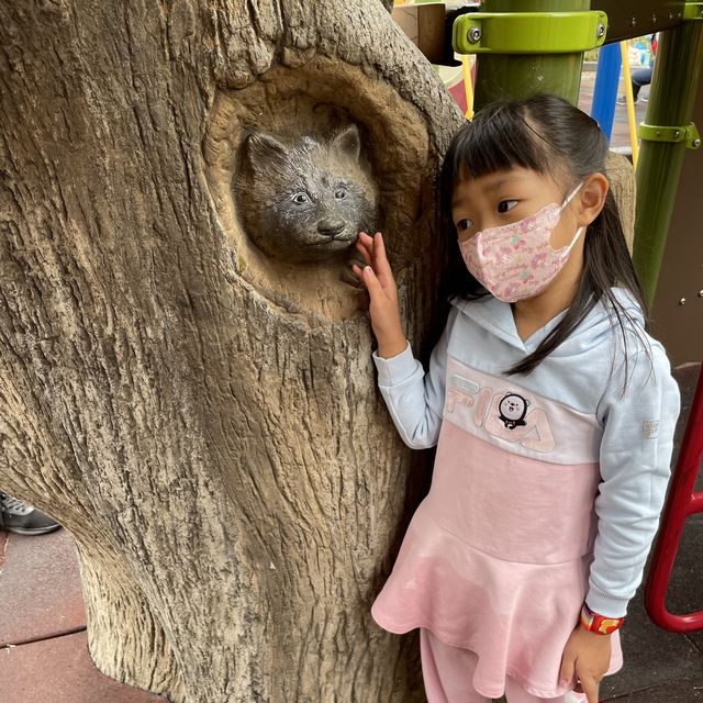 First adventure in 2022 — #睇瀑布  First adventure in 2022 — #睇瀑布