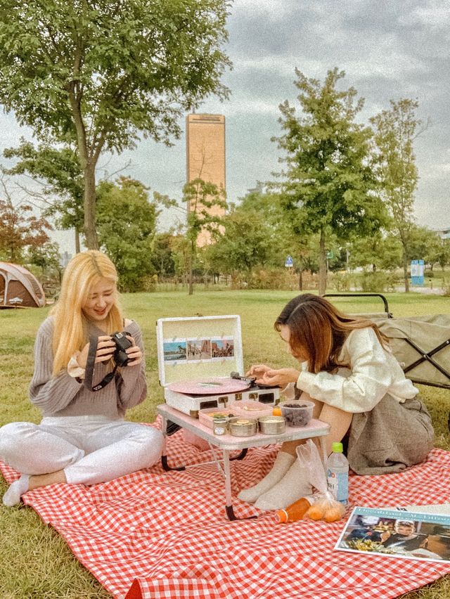 [서울] 피크닉하면?! “여의도한강공원”❣️