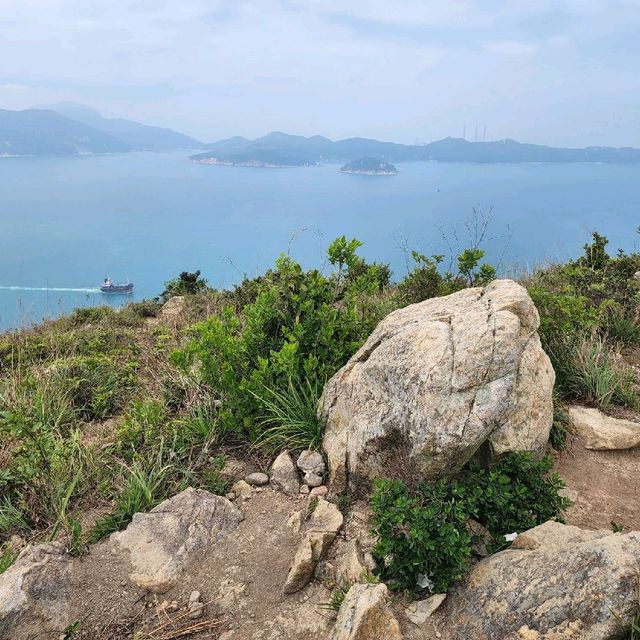 玉桂山