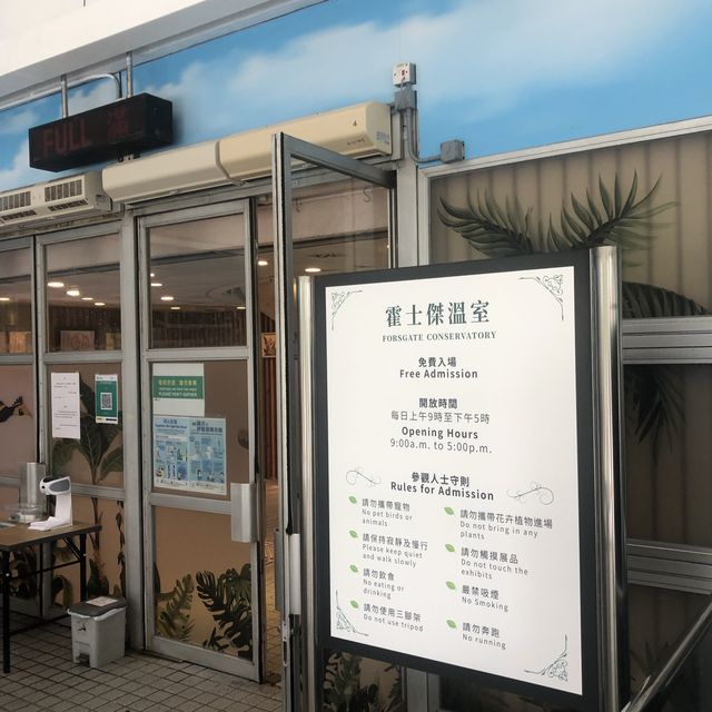 欣賞溫室內的植物