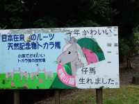 鹿兒島必去《開聞山麓自然公園 》😎😎
