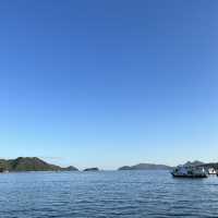 💛優閑寫意西貢碼頭黃昏遊☀️
