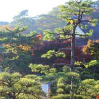神奈川県にある三渓園！😆