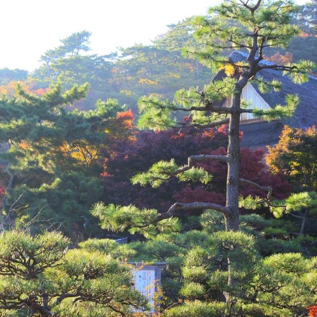 神奈川県にある三渓園！😆