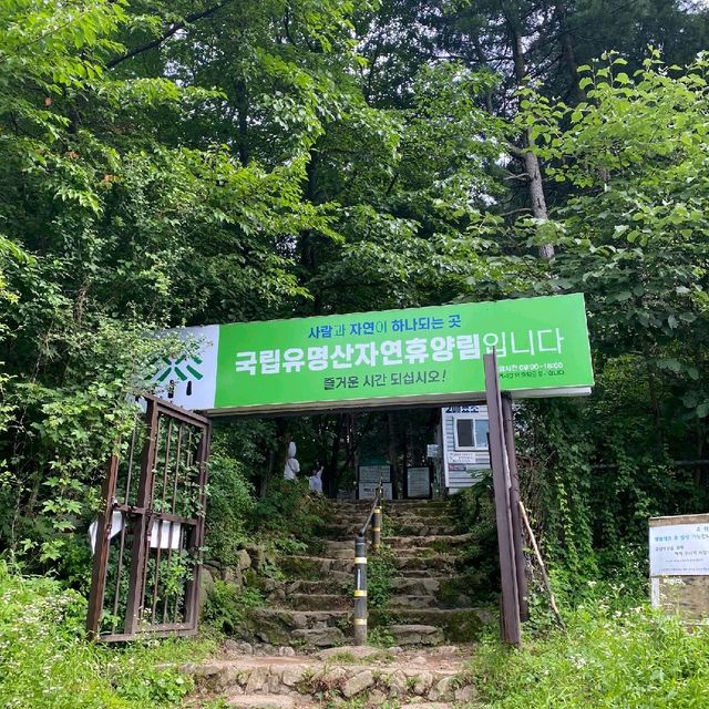 가평 국립 유명산 휴양림 계곡과 시원한 바람
