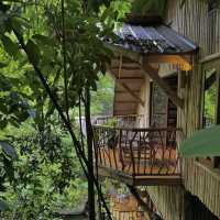 Treehouse de Valentine