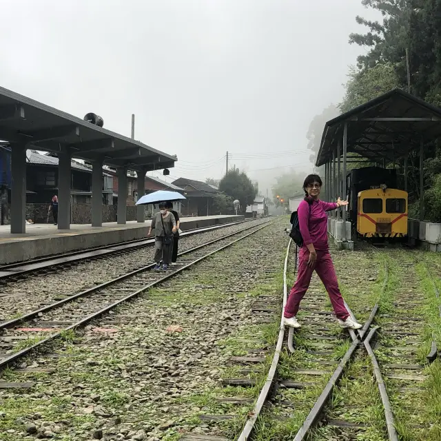 奮起湖取景鐵道風光，品嘗鐵路便當，走步道，體驗迷霧森林中的神社⛩️遺址