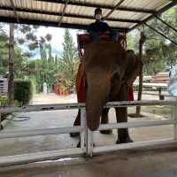 Chokchai museum, The legend of thai cowboy 