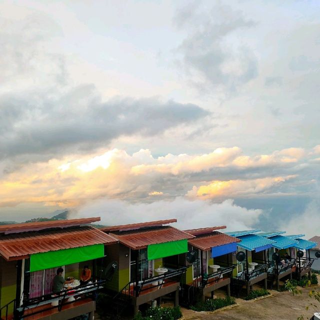 ไร่ริมผา@ภูทุบเบิก