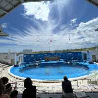 【仙台うみの杜水族館】仙台の家族で楽しめる水族館