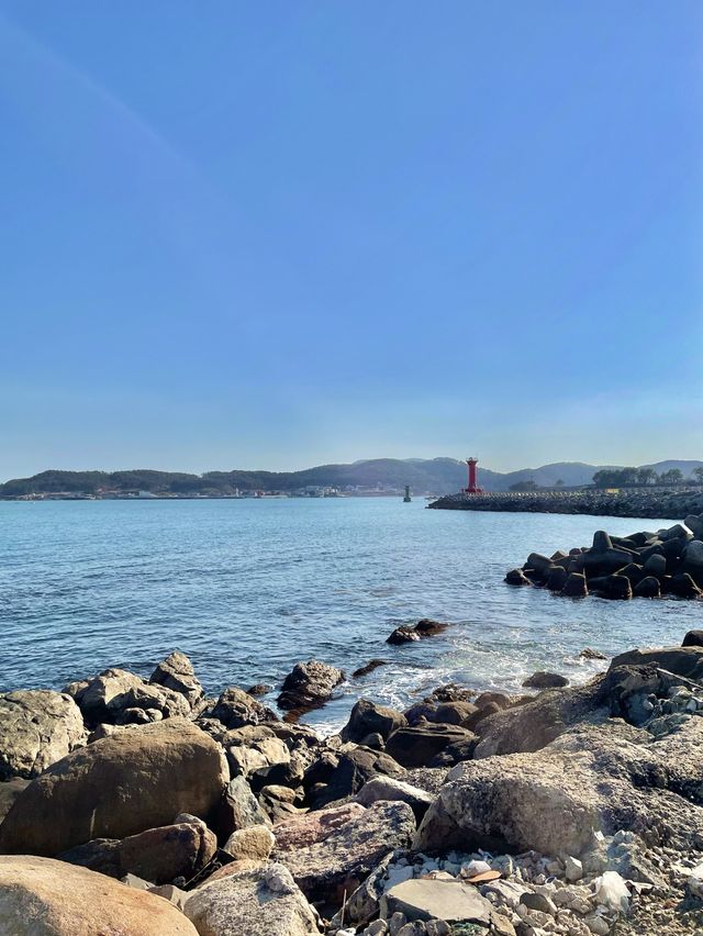기장 오션뷰 카페 우즈 베이커리 🌊🥐