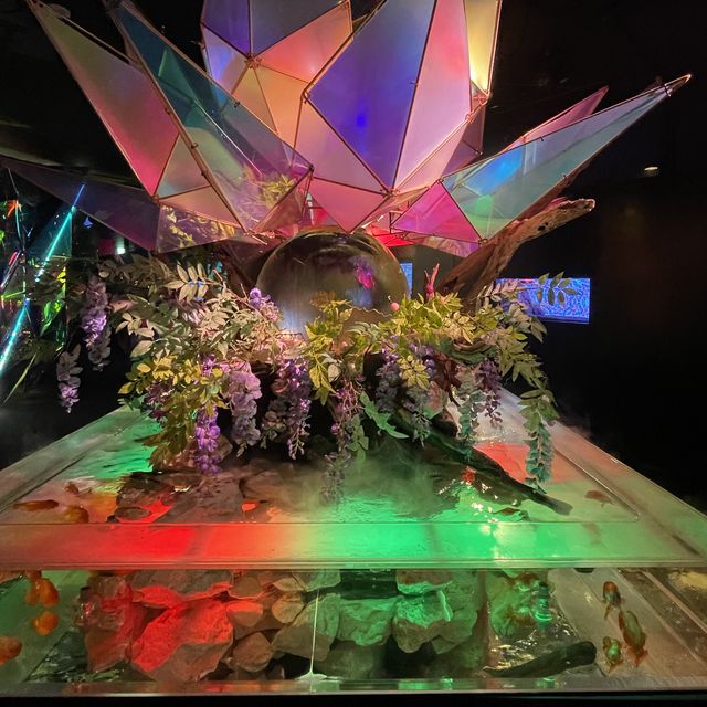 【奈良県】日本最大級の金魚ミュージアムを堪能！
