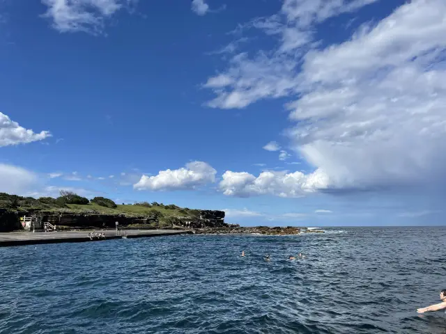 Coogee to Bondi Coastal Walk 🌊