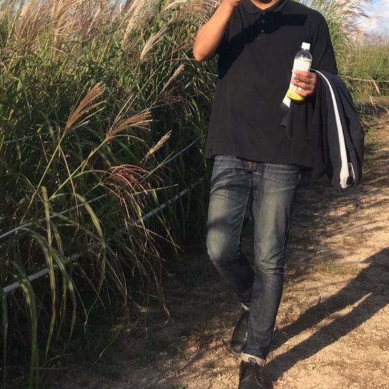 상암동 갈대숲 하늘공원 
