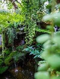 คาเฟ่โอเอซิสกลางเมือง🌿🌳