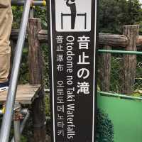 仙境之地輕井澤白絲瀑布🏞冬日美景