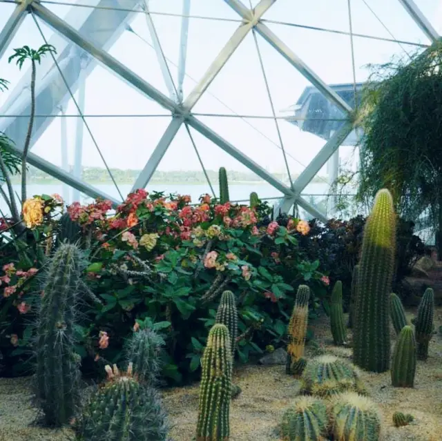 Sun pavilion (Cactus garden)