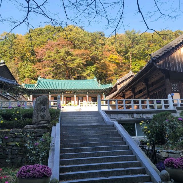 단풍여행 동학사