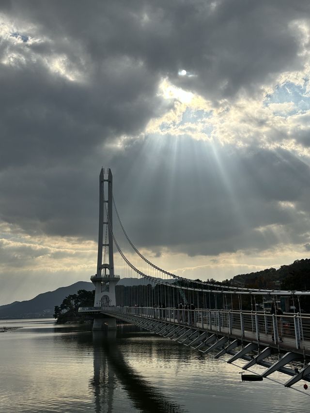 국내에서 제일 긴 모노레일과 단풍을 함께 즐길 수 있는 예당호 출렁다리🫶🏻