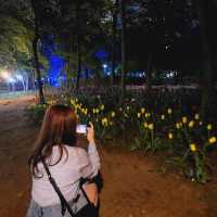 서울숲에서 튤립과 힐링🌷