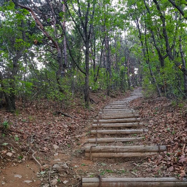 군포 수리산 피크닉