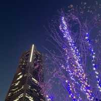 【横浜】マークイズみなとみらいのイルミネーションと紅葉のコラボレーション