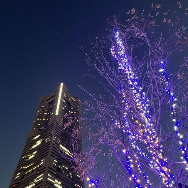 【横浜】マークイズみなとみらいのイルミネーションと紅葉のコラボレーション