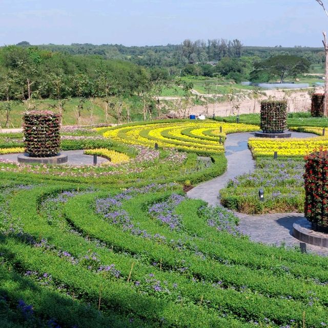 ดอกไม้บานที่บ้านพ่อ อ่างเก็บน้ำดอกกราย