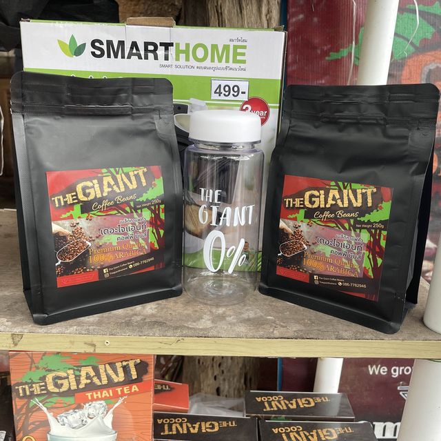 산 꼭대기 큰나무 카페 “The GIANT”