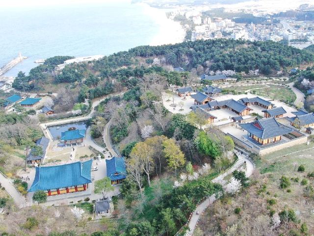 1000년의역사 양양 낙산사