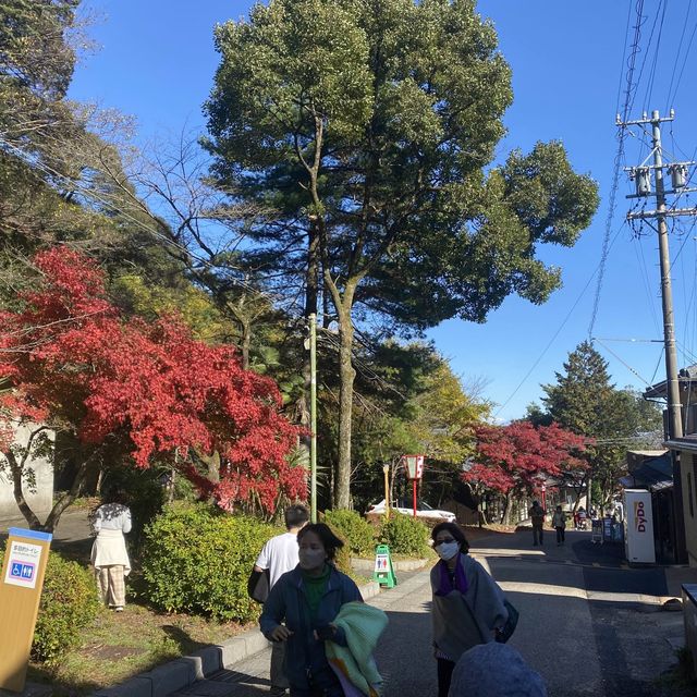 日本養老公園絕美賞楓景點