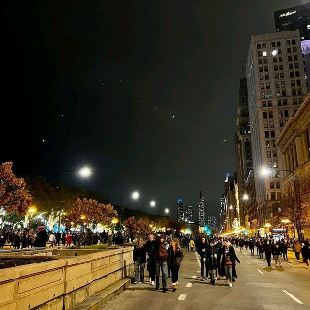 Millennium Park,Chicago