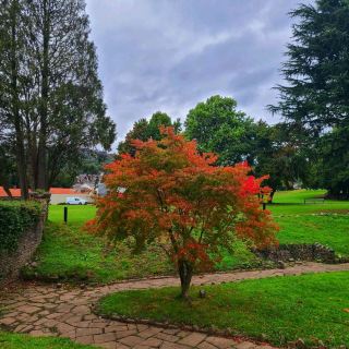 Beautiful Welsh Park