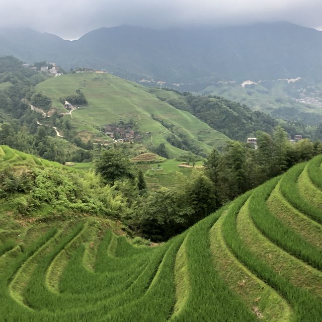 Longji Rice Fields