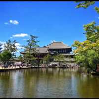 Todai Ji Temple - Nara 