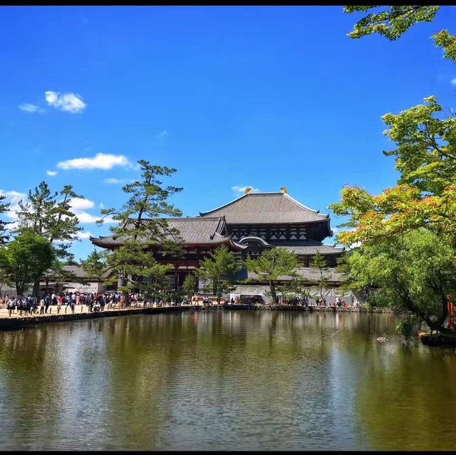 Todai Ji Temple - Nara 