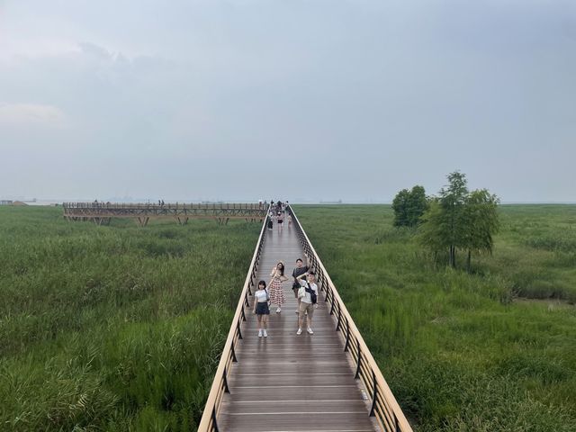 西沙濕地—環境保護好到位
