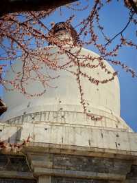 spring is the best to visit Beijing’s parks 