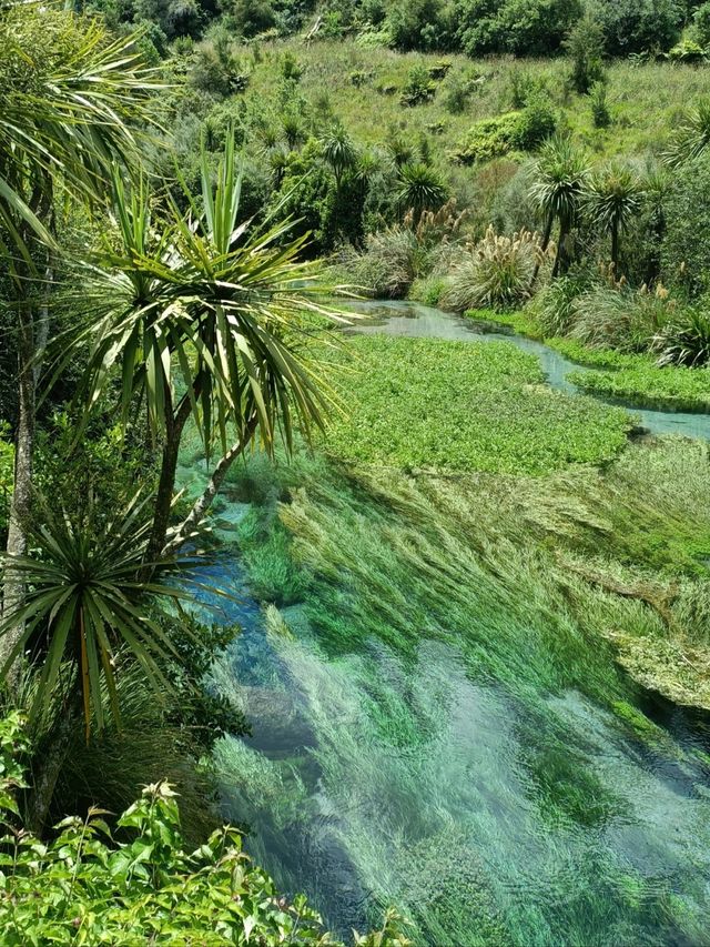 The most vivid Blue Spring, do you have it?