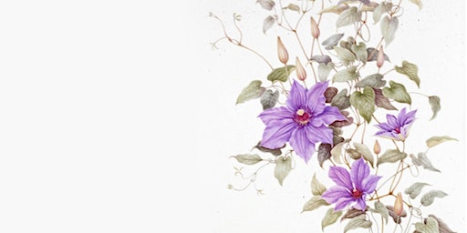 History and Continuing Tradition of Botanical Art (Longmont) | Longmont Public Library