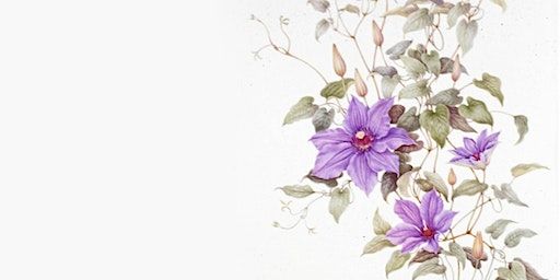 History and Continuing Tradition of Botanical Art (Longmont) | Longmont Public Library
