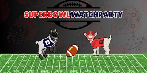 Superbowl Watch Party | Spenker Family Farm