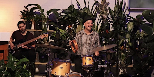 Jazz in the Jungle | Eden Plant Co., Harrisburg Boulevard, Houston, TX, USA
