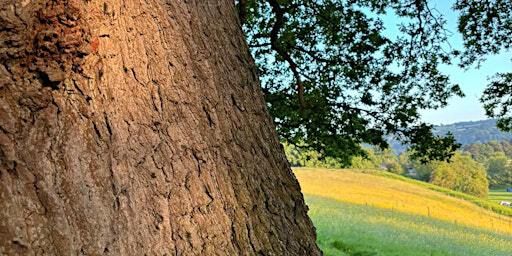 Written in the land - A poetry writing walkshop | Bath Skyline