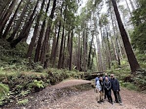 A Taste of Coastal Foraging | Timber Cove Resort