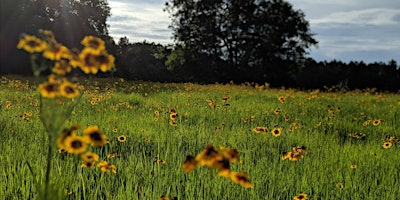 2025 Wild Hope Music Festival | Wild Hope Farm